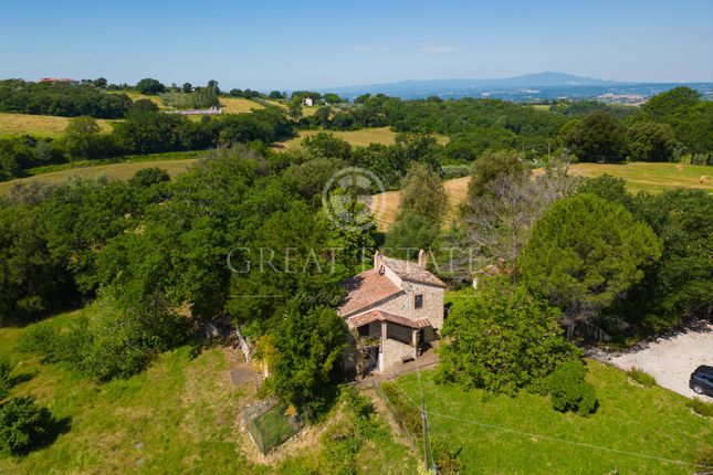 Thumbnail Villa for sale in Calvi Dell'umbria, Terni, Umbria