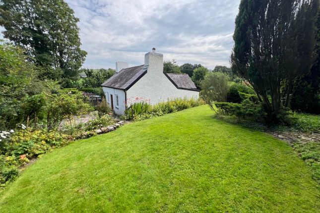 Glandwr, Pentrecwrt, Llandysul photo 2