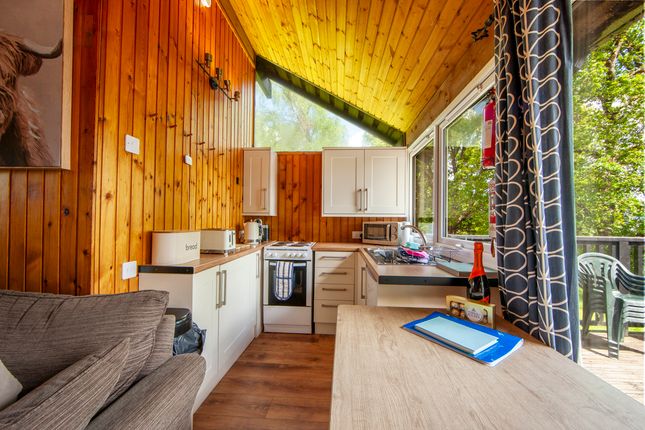 Fyne, 4 Loch Aweside Cabins, Dalavich photo 4