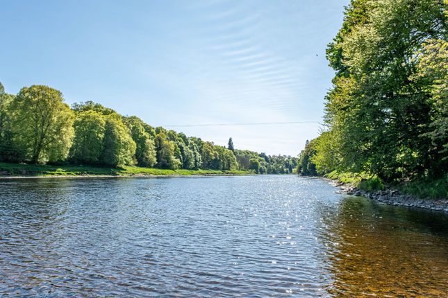 River Tay Salmon Fishings,, Cargill, Perthshire photo 3