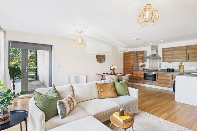 Living Area/Kitchen