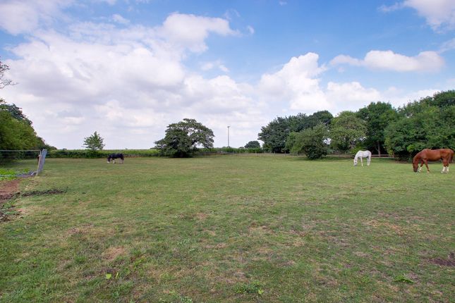 Rookery Farm, 57 Main Road, Wisbech photo 3