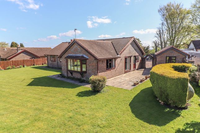 Thumbnail Bungalow for sale in Lopcombe, Salisbury, Wiltshire