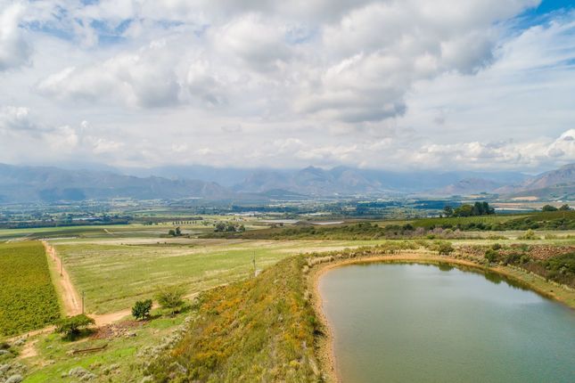 Simondium Plaisir Wine Estate Farm 8, Simondium, Cape Winelands, Western Cape ...