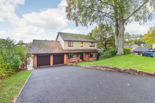 Thumbnail Detached house for sale in Mount Way, Chepstow, Monmouthshire