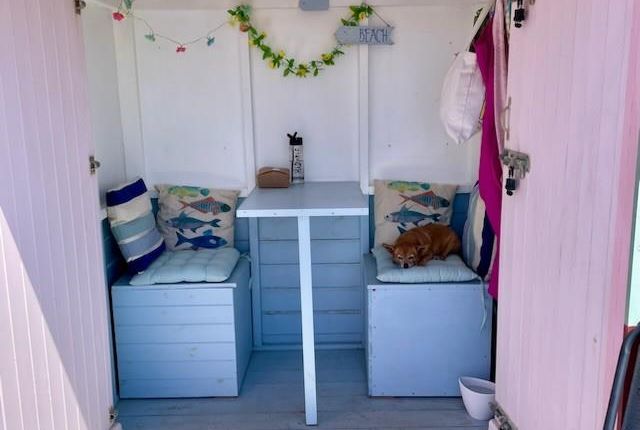 24, Beach Hut, 24, Kings Esplanade, Hove photo 5