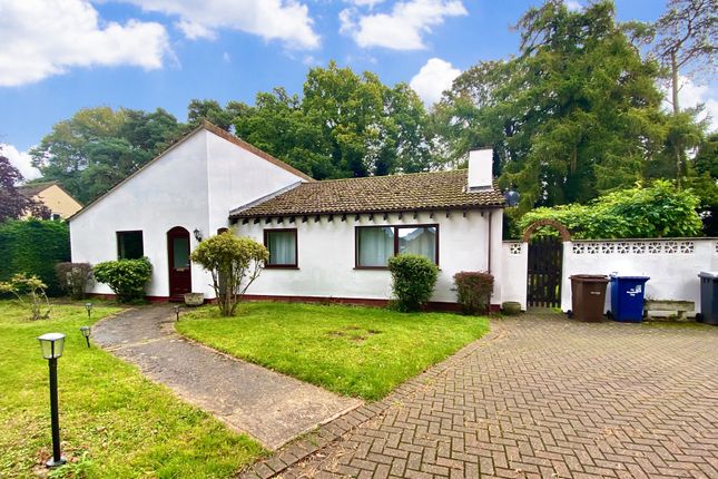 Thumbnail Detached bungalow to rent in Bury Road, Mildenhall, Bury St. Edmunds
