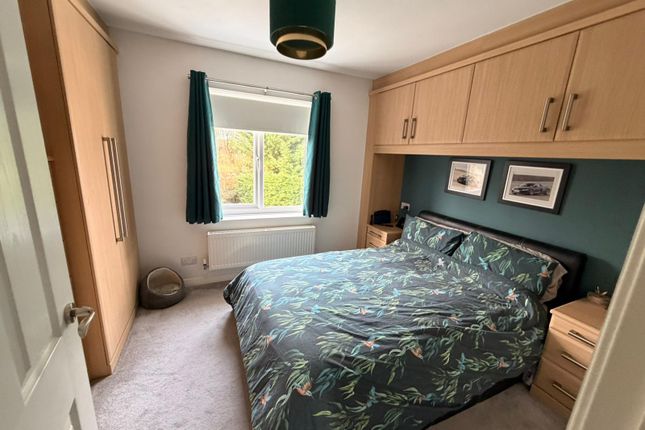 10, Elmwood, Middlesbrough photo 5