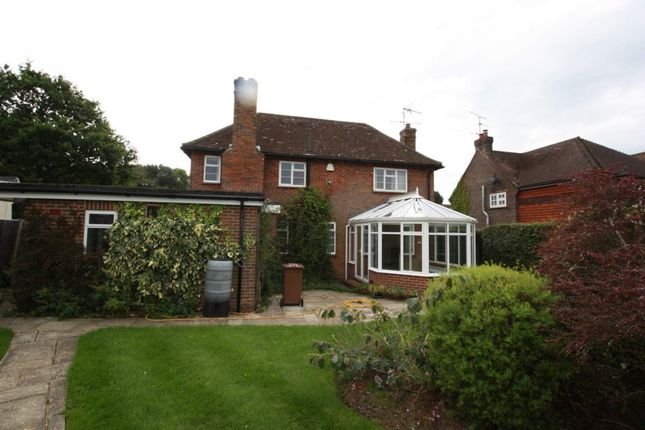 Detached house to rent in Mapledrakes, Ewhurst