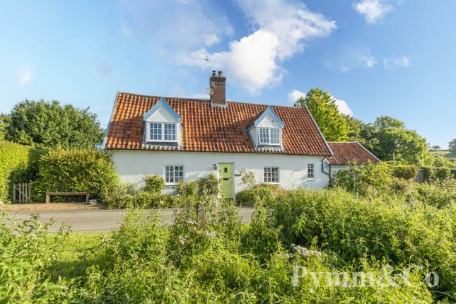 Thumbnail Cottage for sale in Hollow Lane, Shotesham St Mary