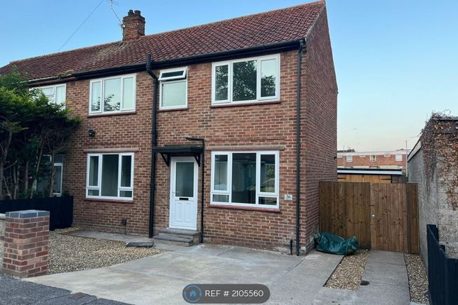 Thumbnail Semi-detached house to rent in Shipfield, Norwich