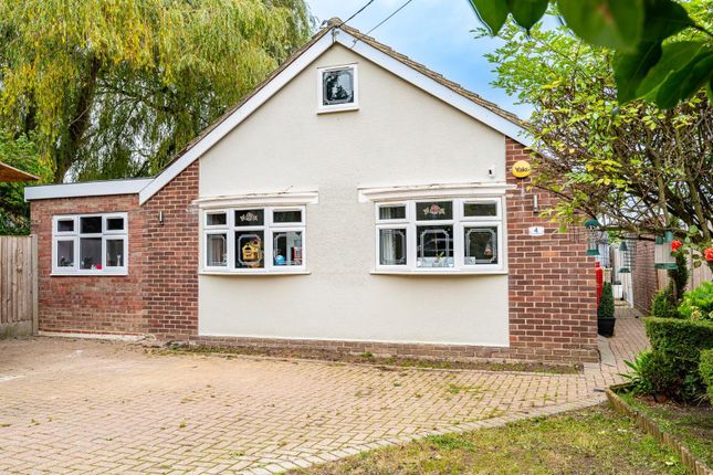Detached bungalow for sale in Evelyn Road, Great Leighs, Chelmsford