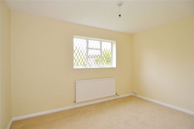 304, Richmond Road, Kingston Upon Thames photo 4
