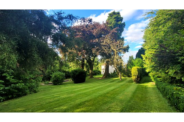 Take A Stroll Around Ones Grounds
