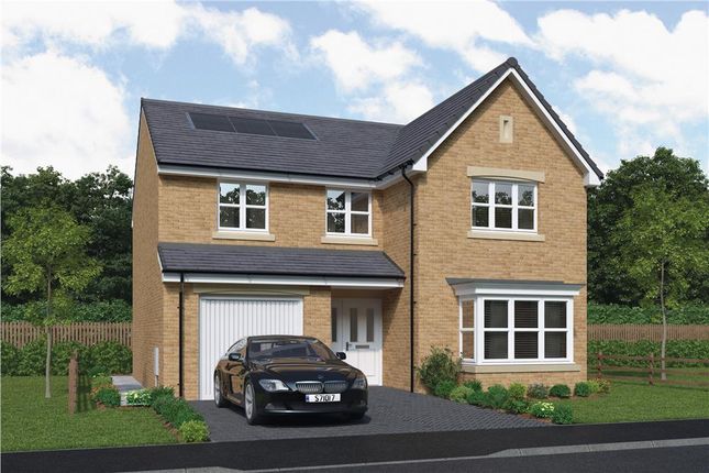 Thumbnail Detached house for sale in "Limewood" at Bartonshill Way, Uddingston, Glasgow