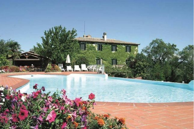 Thumbnail Villa for sale in Murlo, Murlo, Toscana