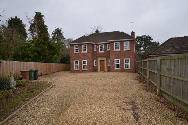 Thumbnail Detached House To Rent In Westwood Park Road Peterborough Thumbnail Detached House To Rent In Westwood Park Road Peterborough