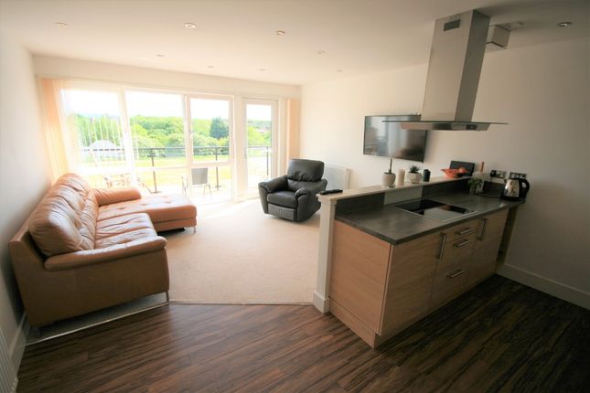 Tait Wynd, Brunstane, Edinburgh, EH15 2RH, Edinburgh photo 3