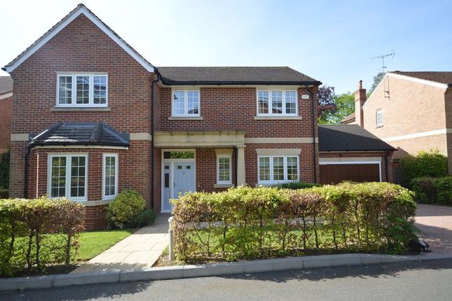 Thumbnail Detached house to rent in Howe Drive, Beaconsfield