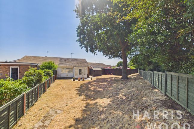 33 Brinkley Crescent, Colchester, Essex photo 4