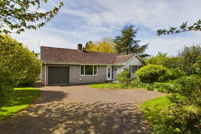 Detached bungalow for sale in Orchard Close, Cossington, Bridgwater