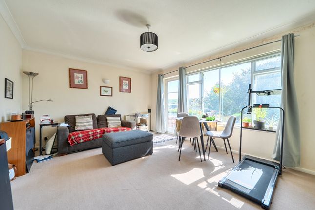16, Winton Avenue, Brighton photo 2
