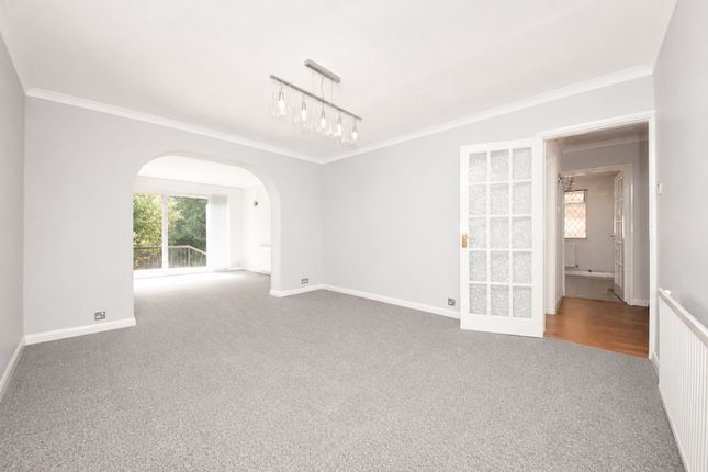 43 Ranelagh Crescent, Ascot photo 4