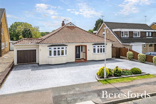 Thumbnail Bungalow for sale in Scrub Rise, Billericay