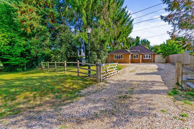 Thumbnail Detached bungalow for sale in East Dean Road, East Dean, Salisbury