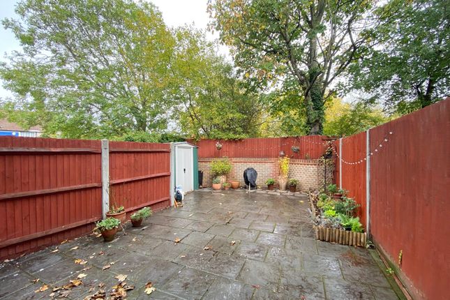 3, Orpington photo 4