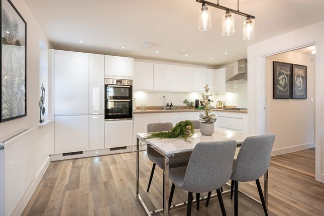 Space To Cook And Dine