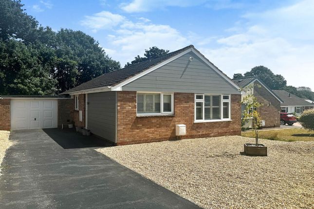 Thumbnail Bungalow to rent in Pinnex Moor Road, Tiverton