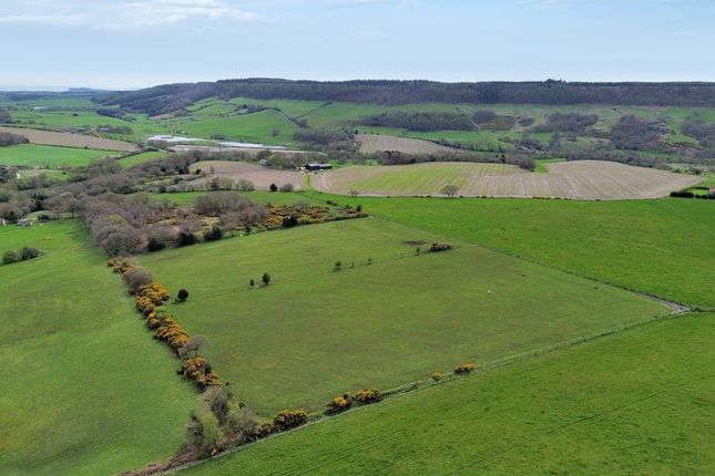 Thumbnail Land for sale in Harwood Dale, Scarborough