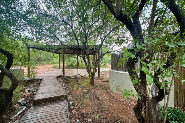 Detached house for sale in 175 Happyland, 175 Snake Eagle, Raptors View Wildlife Estate, Hoedspruit, Limpopo Province, South Africa