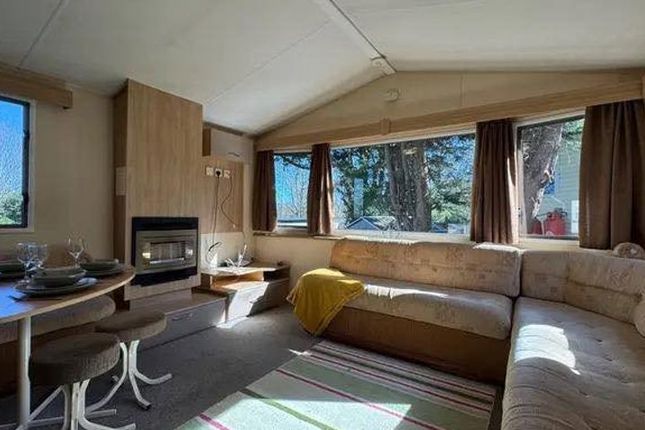 529614804 733929542881294 3786210070751822725 N