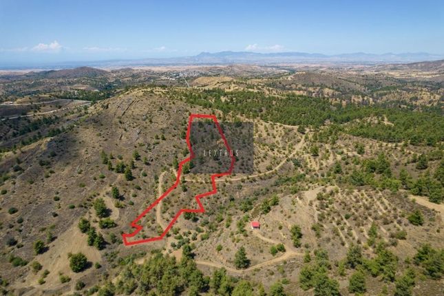 Land for sale in Xyliatos 2781, Cyprus