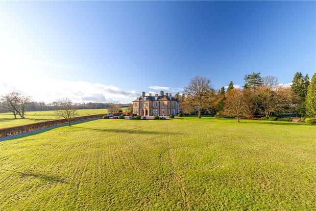Communal Grounds