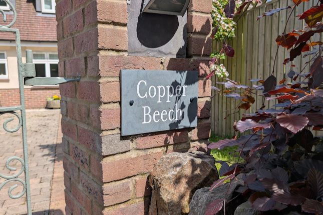 Copper Beech, Old Gloucester Road, Bristol photo 3