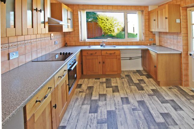 3, Mount Orchard, Tenbury Wells photo 4
