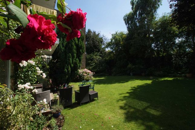 Kitsbury Court, Berkhamsted photo 3