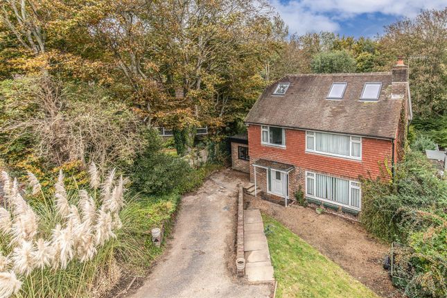 Thumbnail Detached house for sale in Cranedown, Lewes