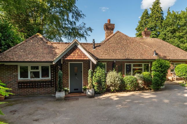 Thumbnail Detached house for sale in Haste Hill, Haslemere, Surrey