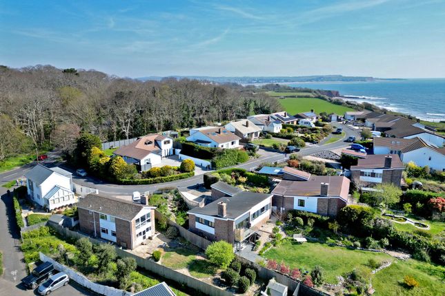 16, Pinewood Close, Dawlish photo 3