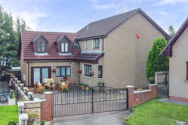 Thumbnail Detached house for sale in Peterswell Brae, Bannockburn