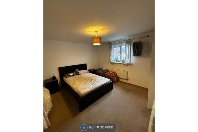 Warrington photo 4
