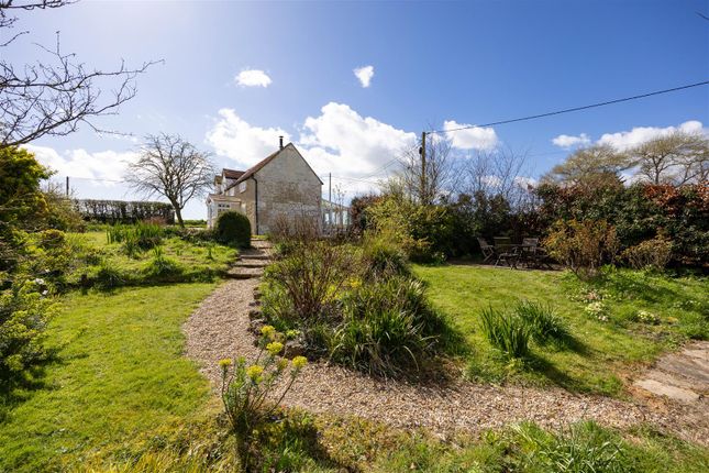 Alma Cottage, Wellow Top Road, Wellow photo 2