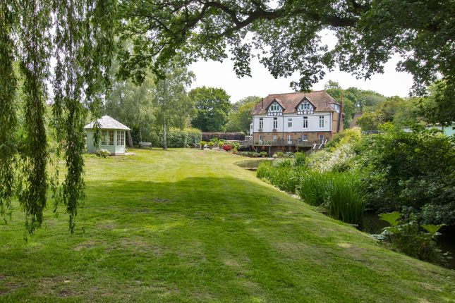 Garden / Rear Of Property