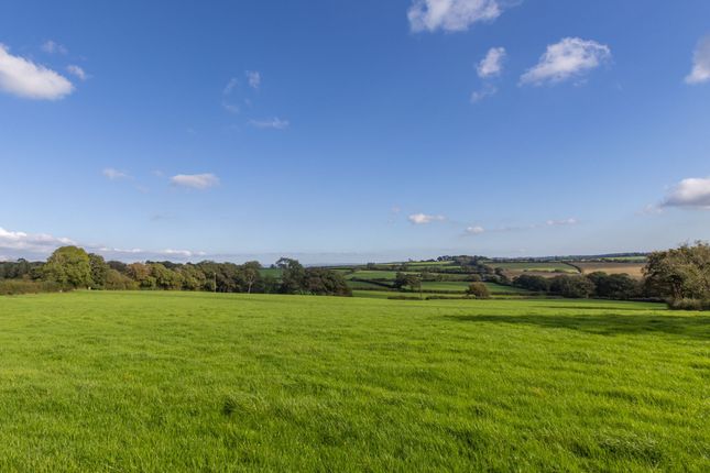 Land at Higher Troswell - 44.53 acres, Troswell, Launceston photo 4
