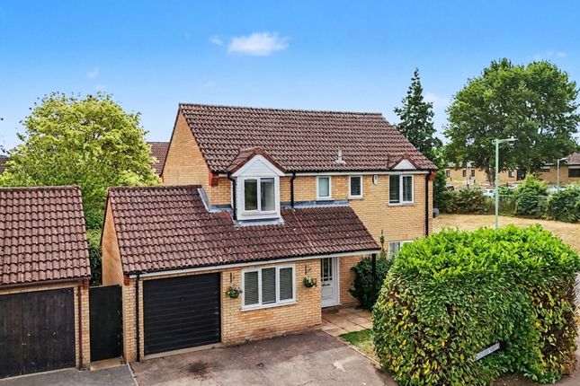 2 Bill Rickaby Drive, Newmarket photo 4