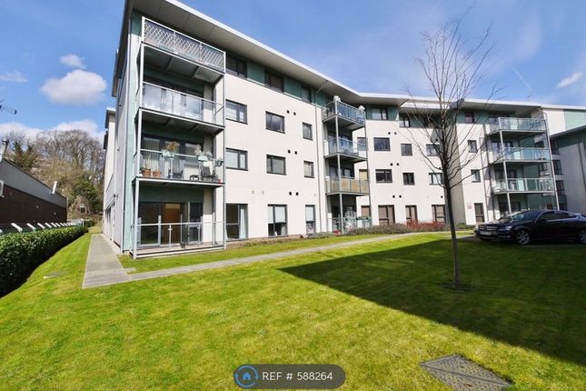 Wilkinson Court, Rollason Way, Brentwood photo 3